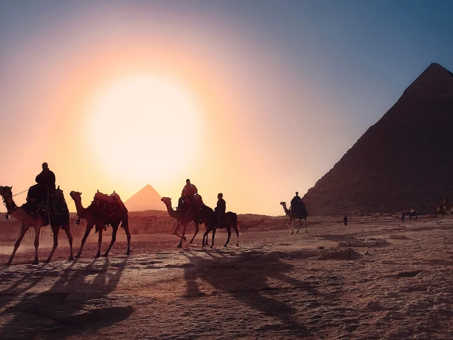 A camel and rider on the desert edge beside the pyramids