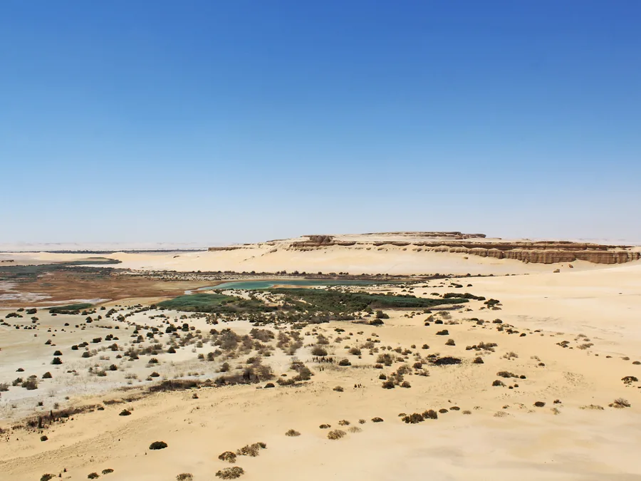 The desert of Wadi El Rayan where the whale fossils lie