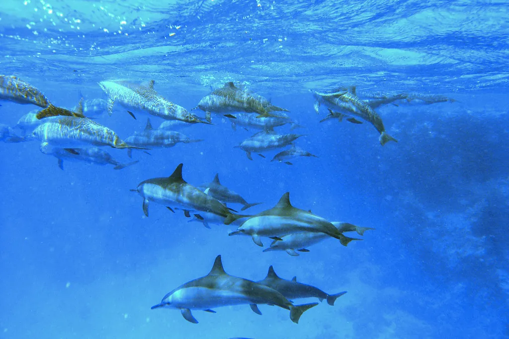 12-Day Itinerary: Cairo, Nile Cruise & Marsa Alam