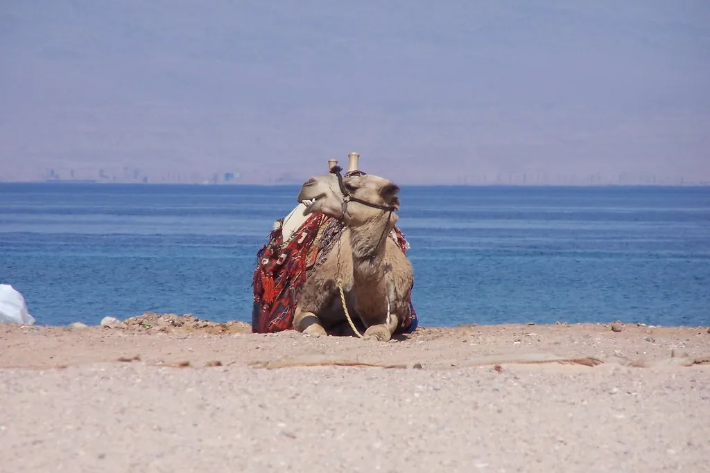 Egypt Trip 10 Days: Cairo, Nile Cruise & Hurghada