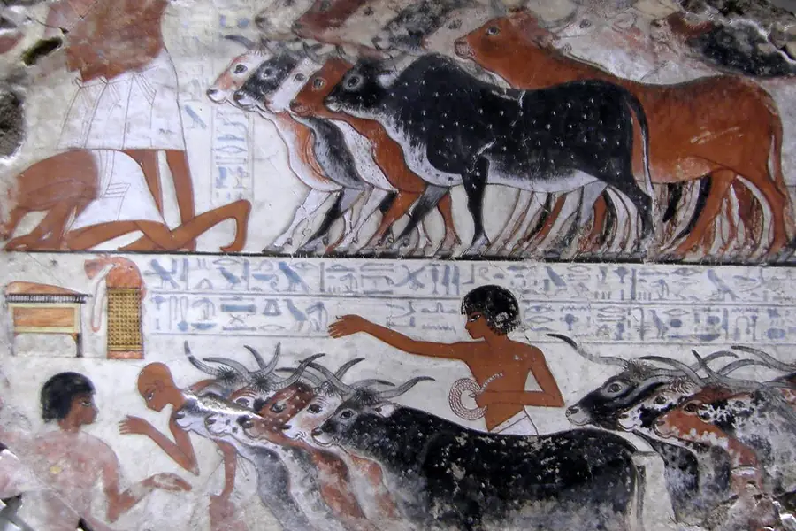 Valley of the Kings painted walls